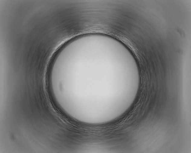 X0000113160680200909040953