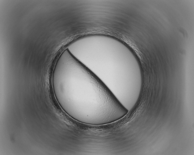 X0000113160681200909040953