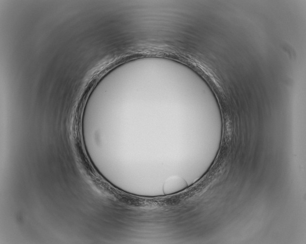 X0000113160682200909040953