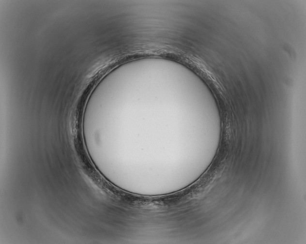 X0000113160683200909040953