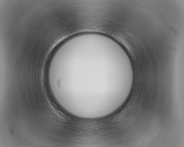 X0000113160684200909040953