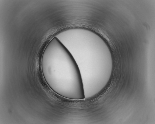 X0000113160685200909040953