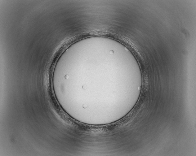 X0000113160686200909040953