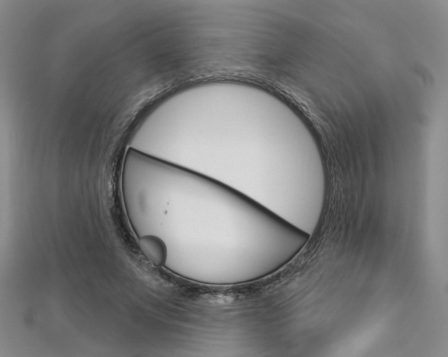 X0000113160687200909040953