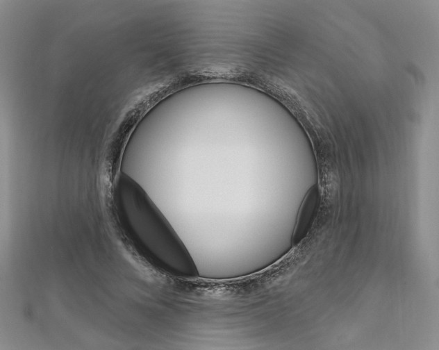 X0000113160688200909040953