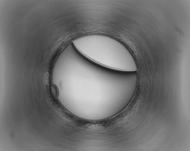 X0000113160689200909040953