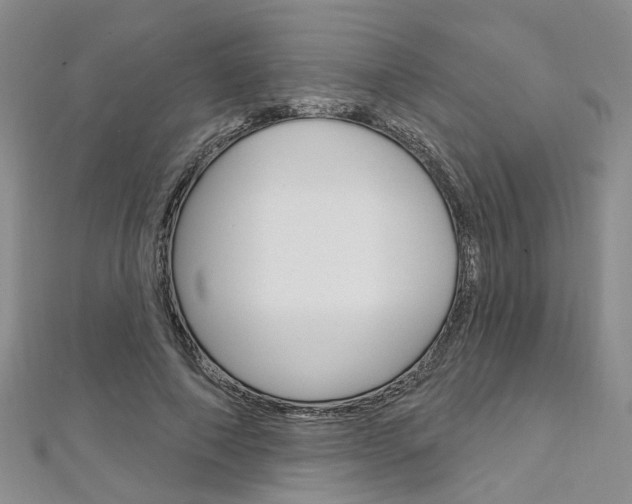 X0000113160690200909040953