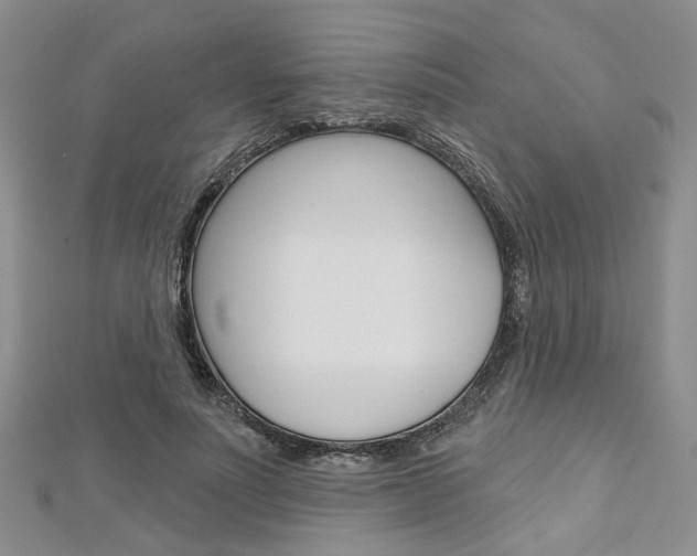 X0000113160691200909040953