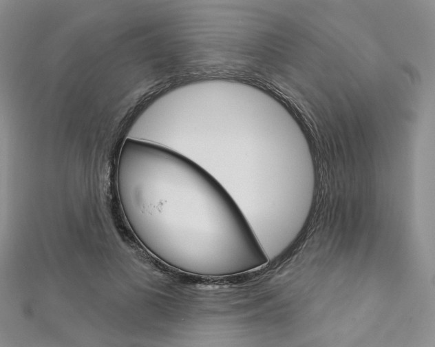 X0000113160693200909040953