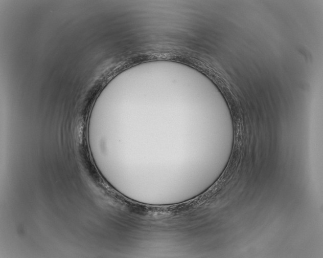 X0000113160694200909040953