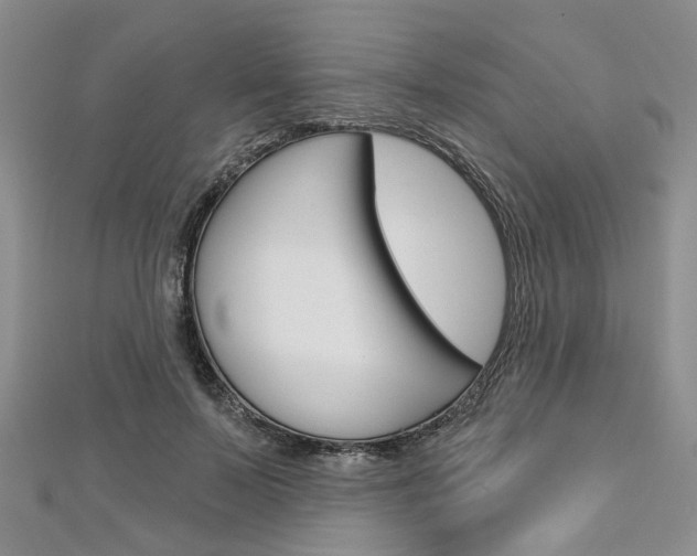 X0000113160695200909040953