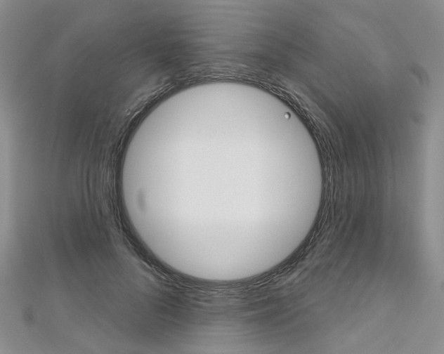 X0000113160696200909040953