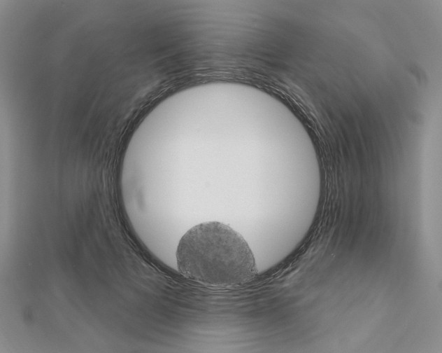 X0000113160697200909040953