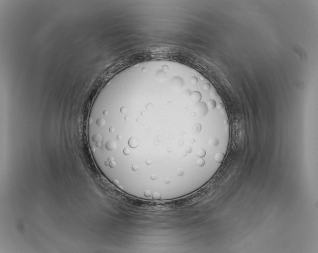 X0000113160698200909040953