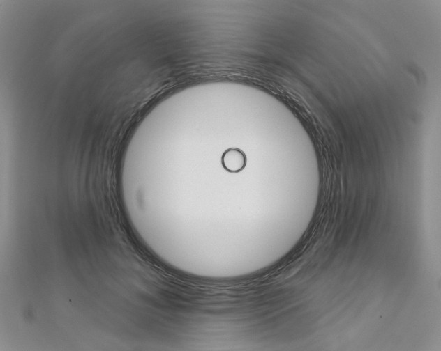 X0000113160700200909040953