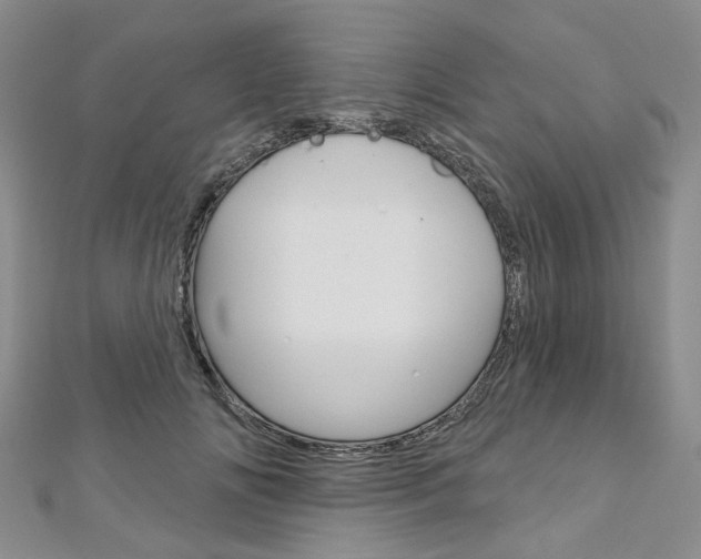 X0000113160702200909040953