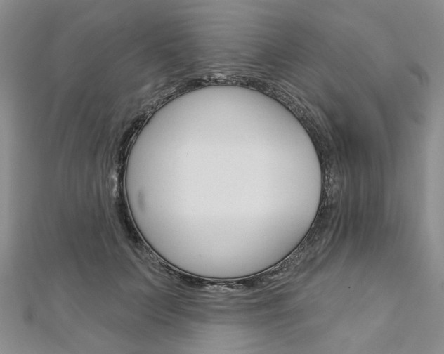 X0000113160703200909040953