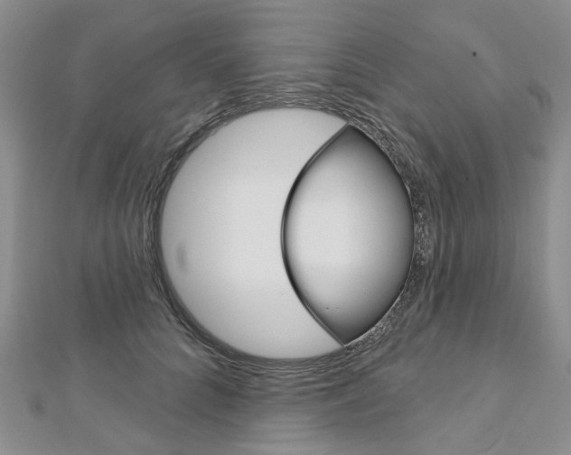 X0000113160704200909040953