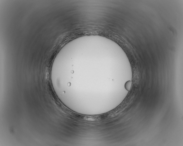 X0000113160706200909040953