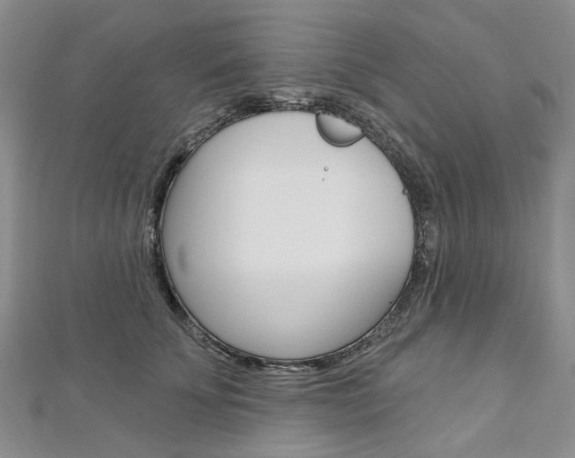 X0000113160707200909040953