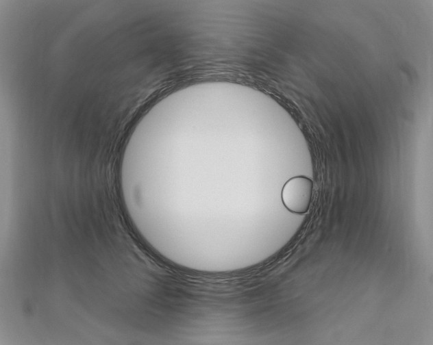 X0000113160708200909040953