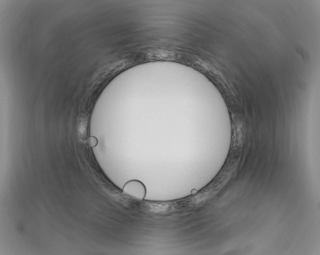 X0000113160709200909040953