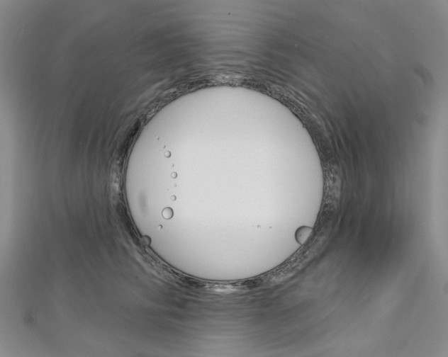 X0000113160710200909040953
