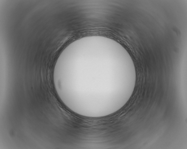 X0000113160712200909040953