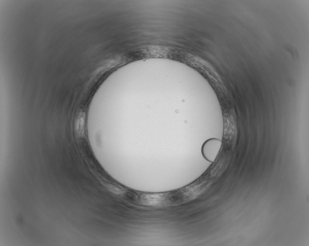 X0000113160717200909040953