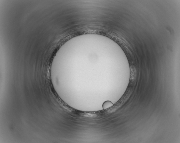 X0000113160718200909040953