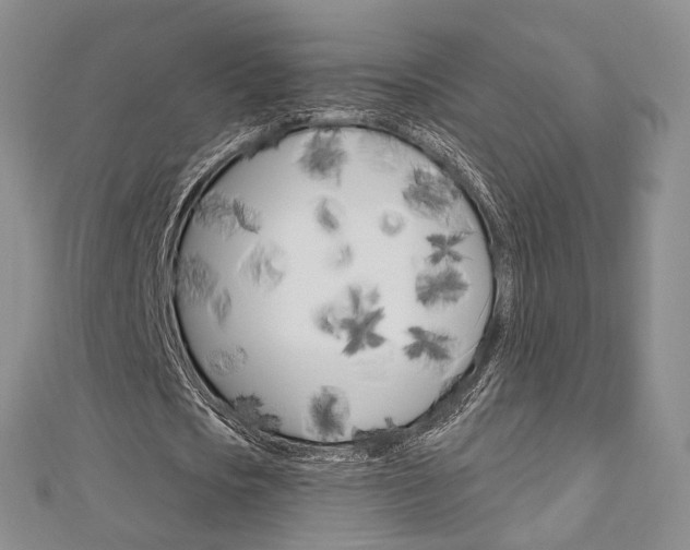 X0000113160721200909040952