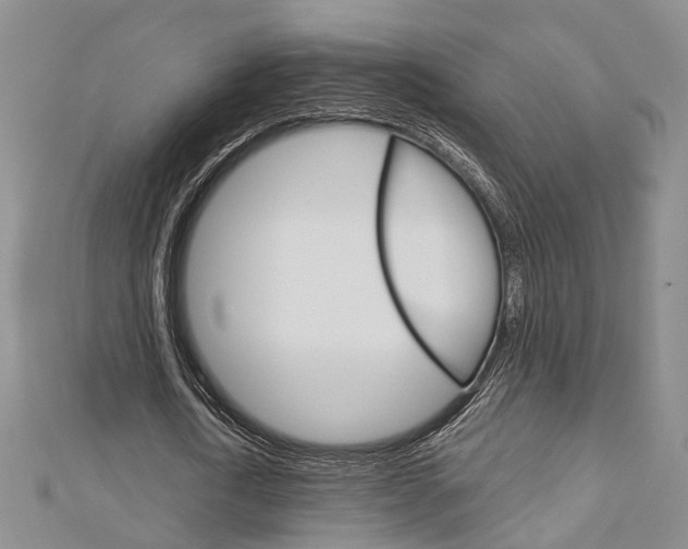 X0000113160722200909040952