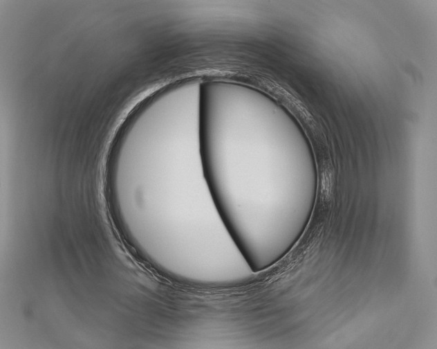 X0000113160724200909040952