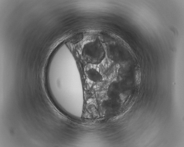 X0000113160725200909040952