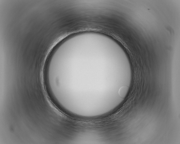 X0000113160726200909040952