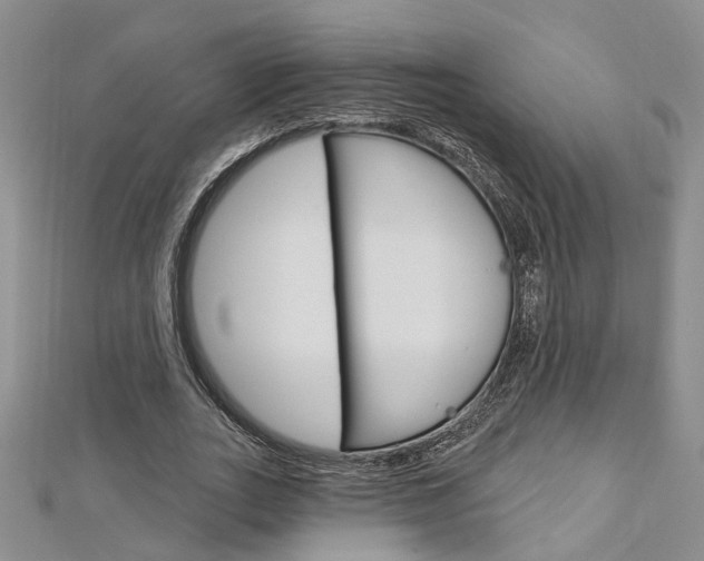 X0000113160727200909040952