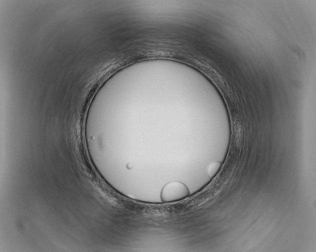 X0000113160729200909040952