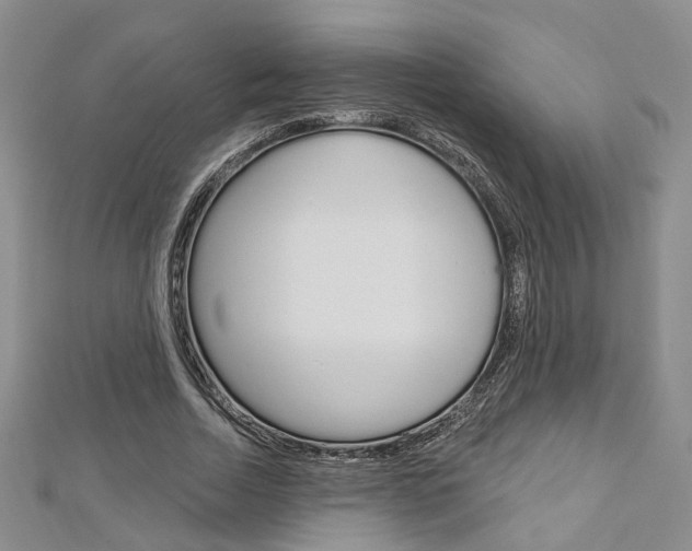 X0000113160730200909040952
