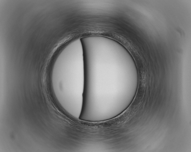 X0000113160731200909040952