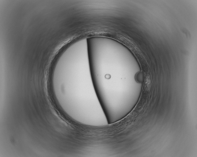 X0000113160732200909040952