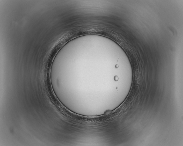 X0000113160735200909040952