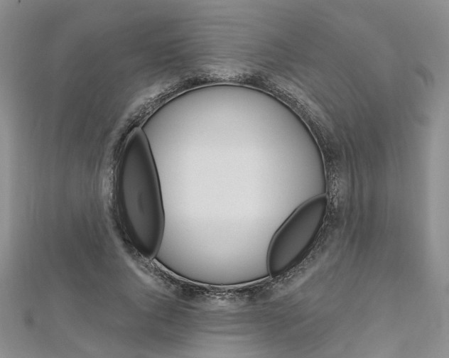 X0000113160736200909040952