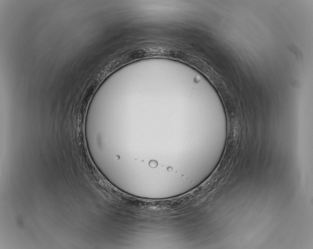 X0000113160737200909040952
