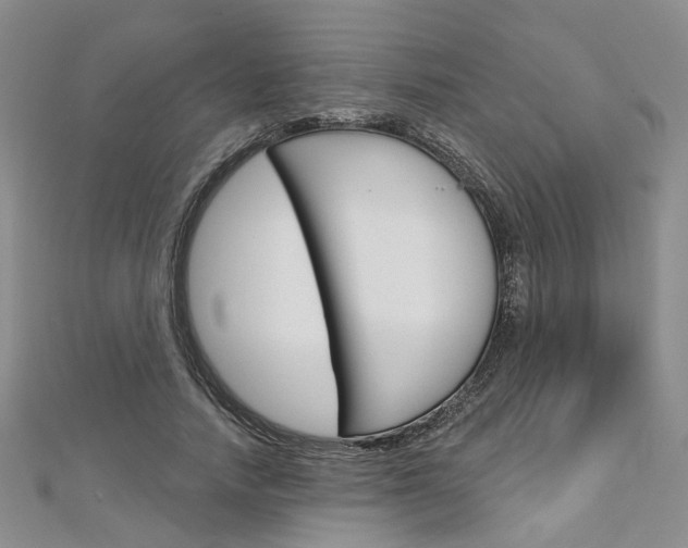 X0000113160738200909040952