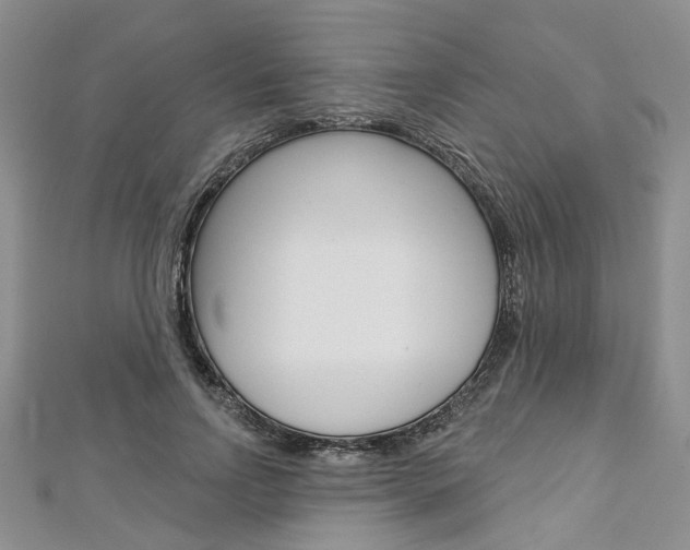 X0000113160742200909040952