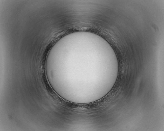 X0000113160743200909040952
