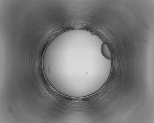 X0000113160744200909040952
