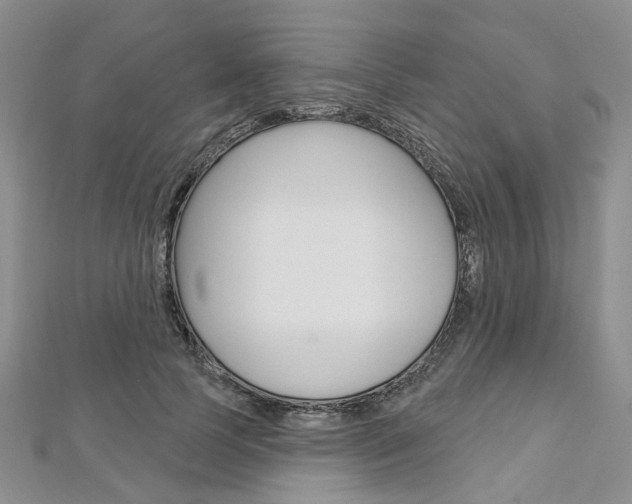 X0000113160745200909040952