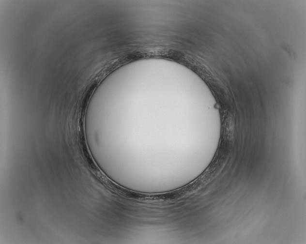 X0000113160746200909040952