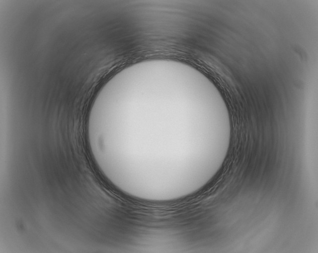 X0000113160748200909040953